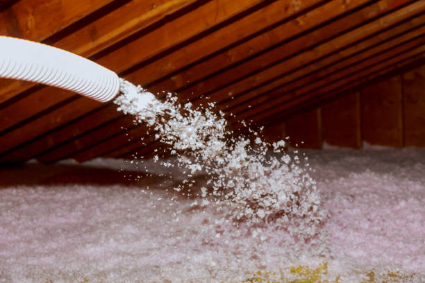 Best Cellulose Insulation in Genoa City, WI