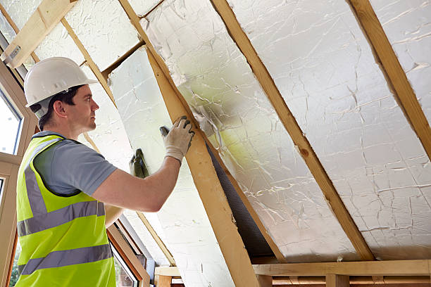 Best Energy Efficiency Insulation in Genoa City, WI