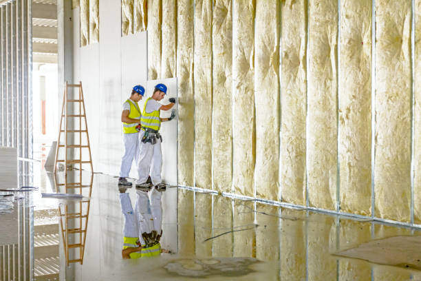 Best Geographic-Specific Insulation Services in Genoa City, WI
